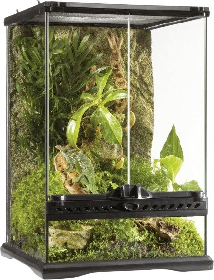 Exo Terra Terrario Mini Tall