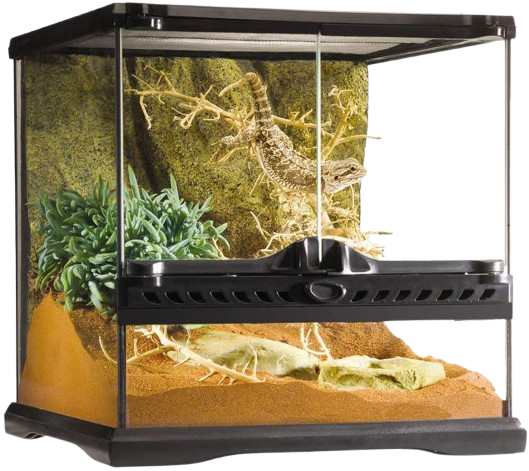 Exo Terra Terrario Mini Wide