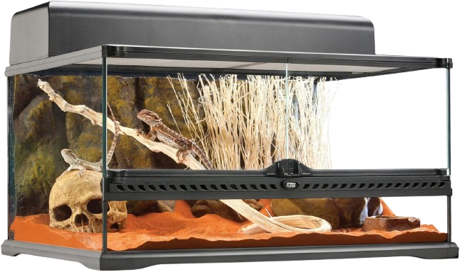 Exo Terra Terrario de cristal