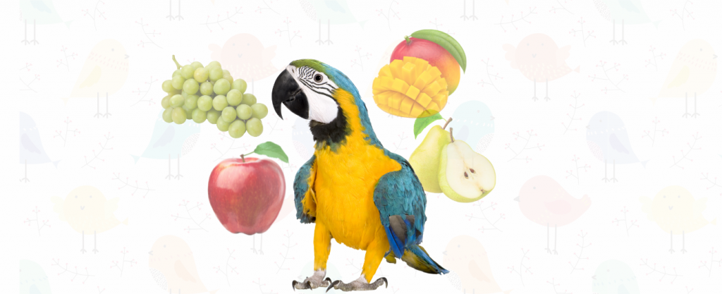 Frutas seguras para loros