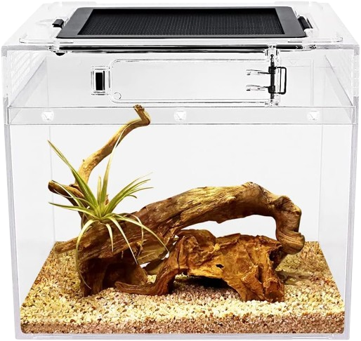 Reptile Growth Terrario