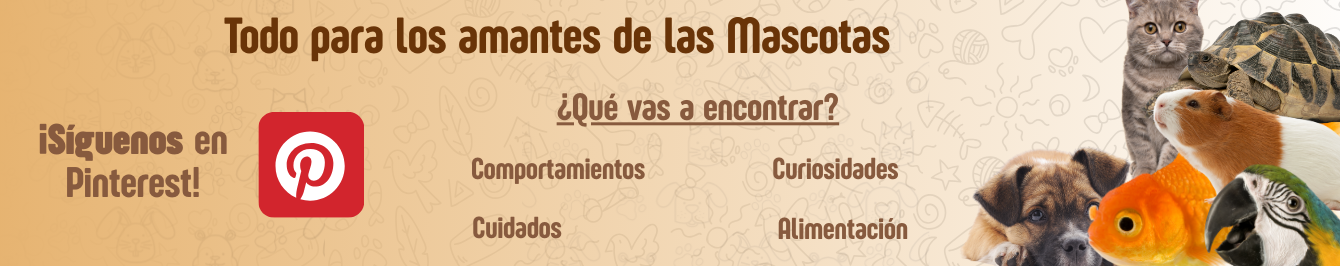 Amantes de las mascotas