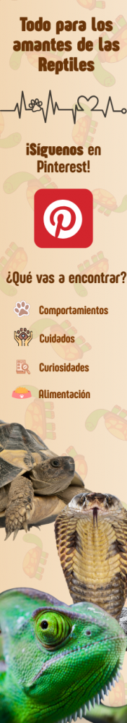 Todo para los amantes de las Reptiles