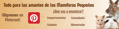 Mamíferos pequeños