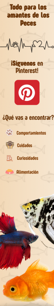 Todo para los amantes de los Peces