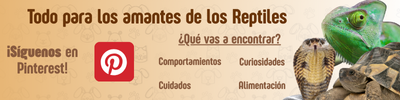 Todo para los amantes de los Reptiles 2
