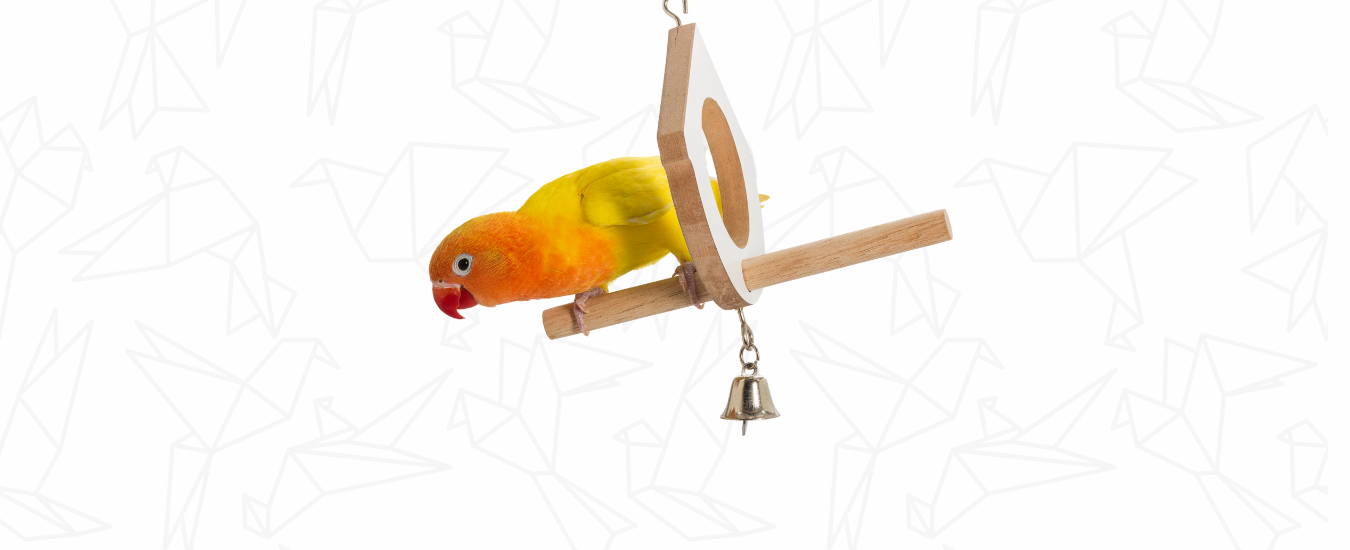 juguetes para aves