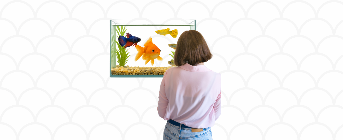 peces reconocen