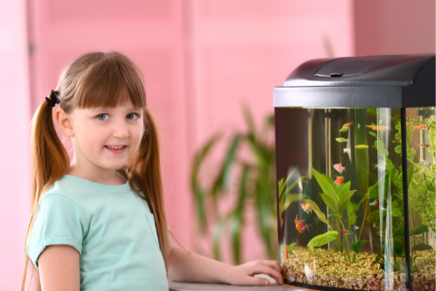 acuario en casa