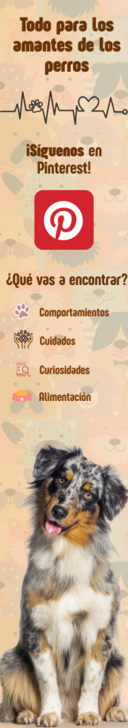 Síguenos en Pinterest