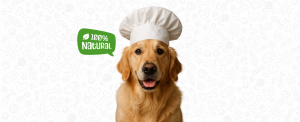 Recetas Caseras Saludables para Perros