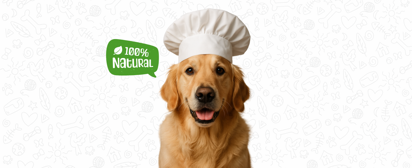 Recetas Caseras Saludables para Perros