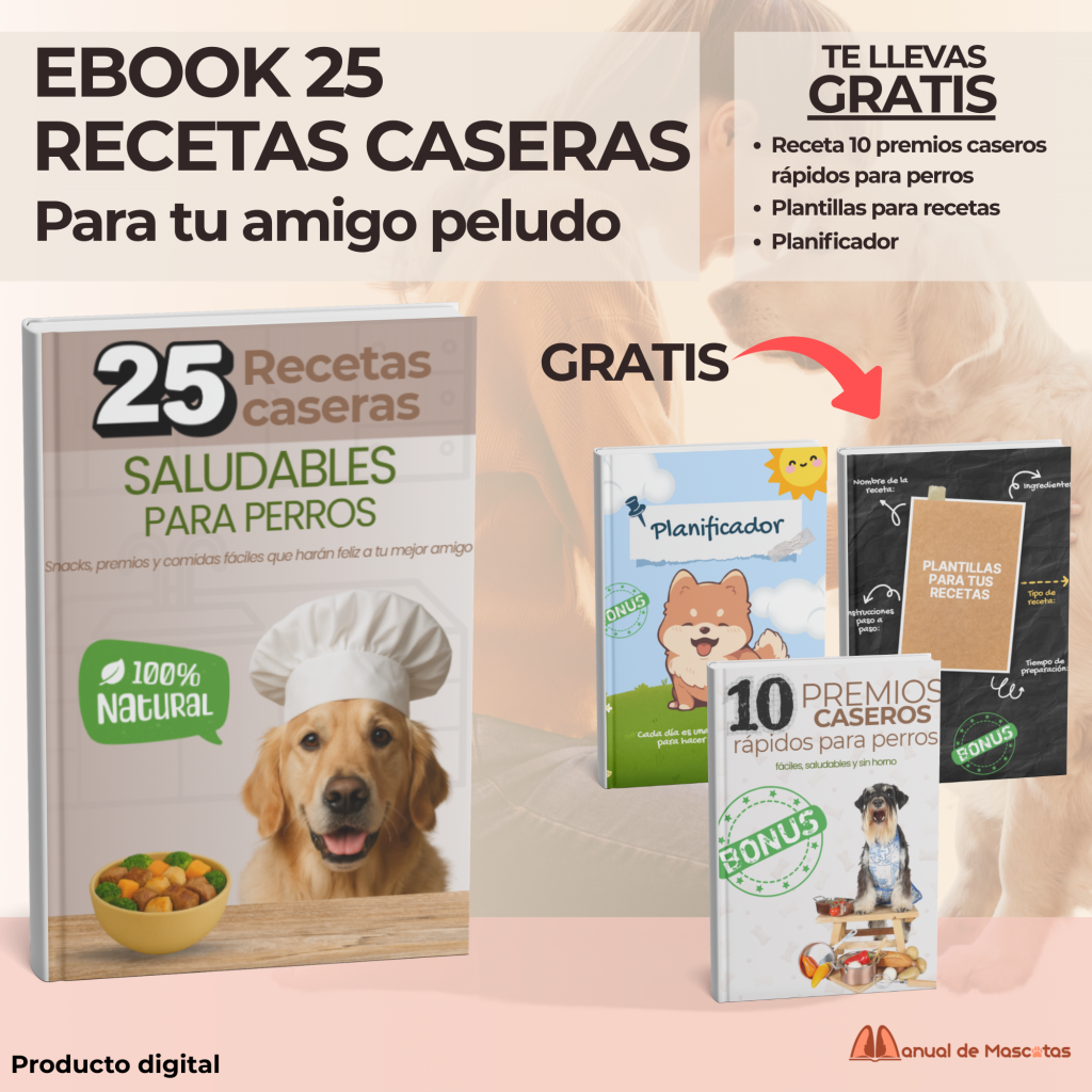 Recetas Caseras Saludables para Perros
